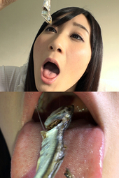 煮干し咀嚼